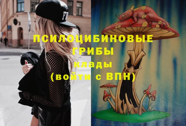 молекула духа Новокубанск
