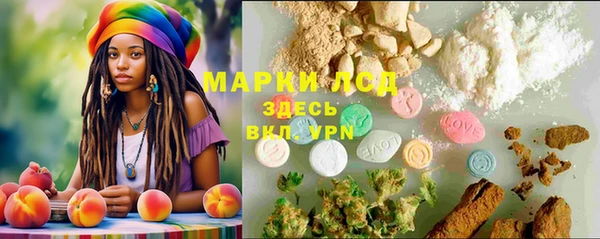 марки nbome Новозыбков